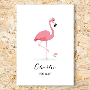 Flamingo geboortekaartje