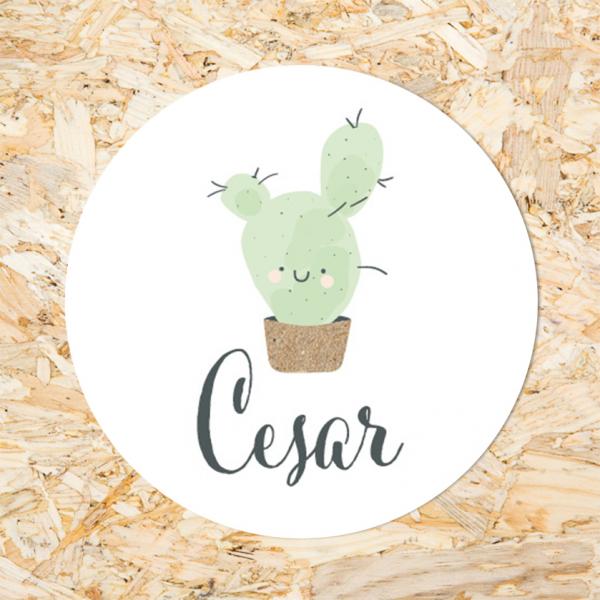 Sticker 40mm cactus