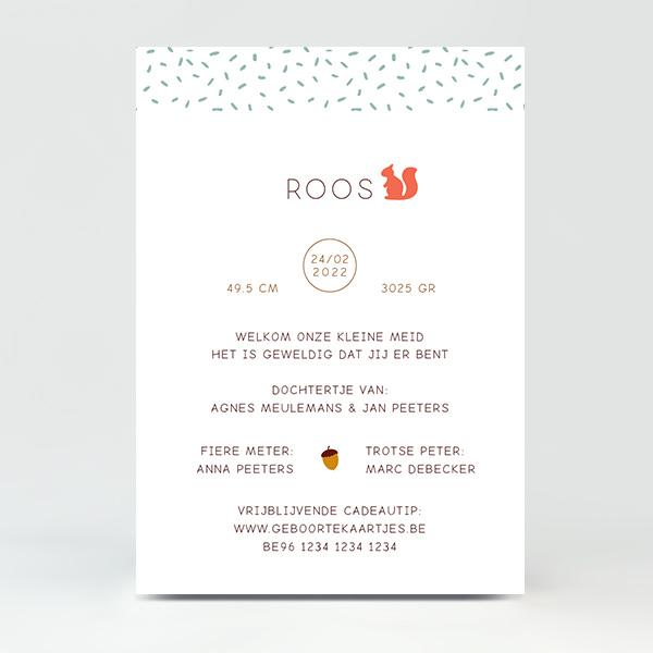 GB016 Geboortekaartje Roos