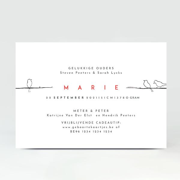 GB039 Geboortekaartje Marie