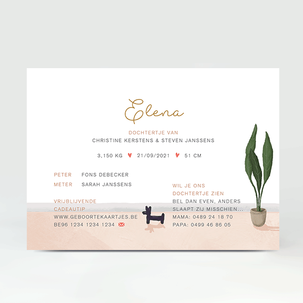 GB041 Geboortekaartje Elena