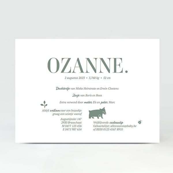 GB047 Geboortekaartje Ozanne