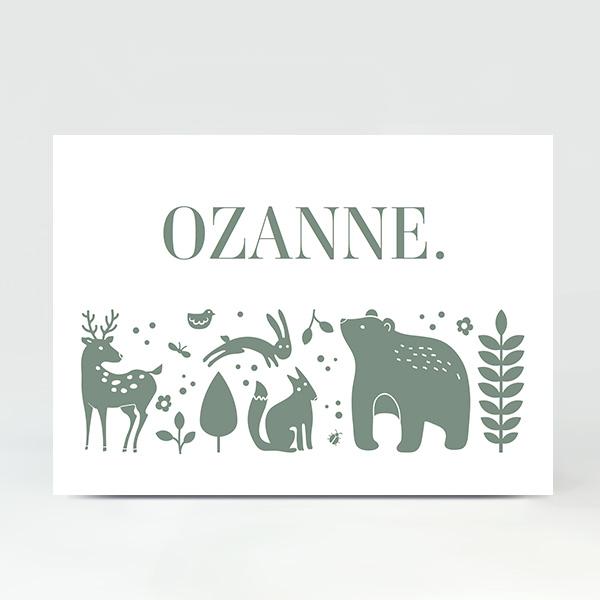 GB047 Geboortekaartje Ozanne